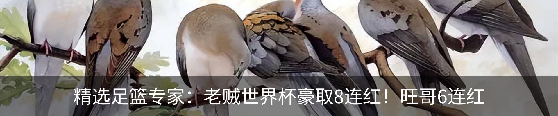 行业资讯